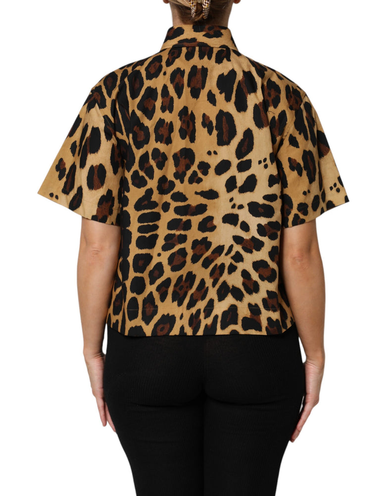Dolce & Gabbana Brown Leopard Short Sleeve Collared Polo Top