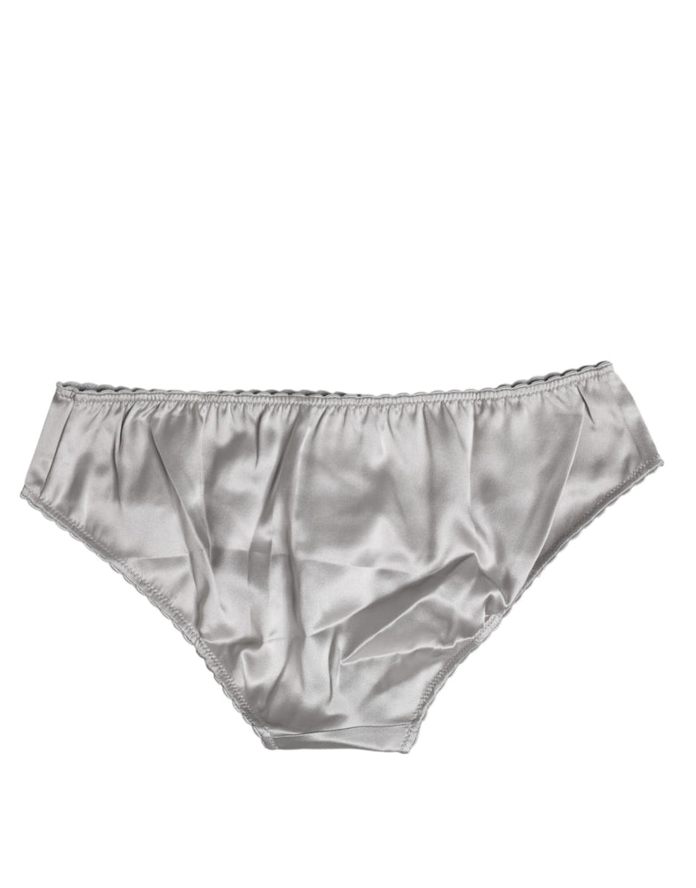 Dolce & Gabbana Gray Silk Stretch Bottom Low Waist Panty Underwear
