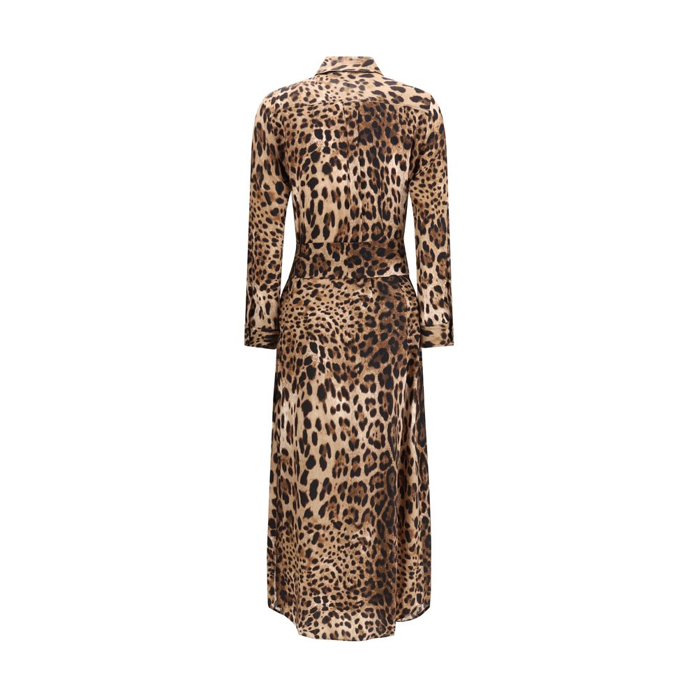 Ella Multicolor Silk Casual Dress